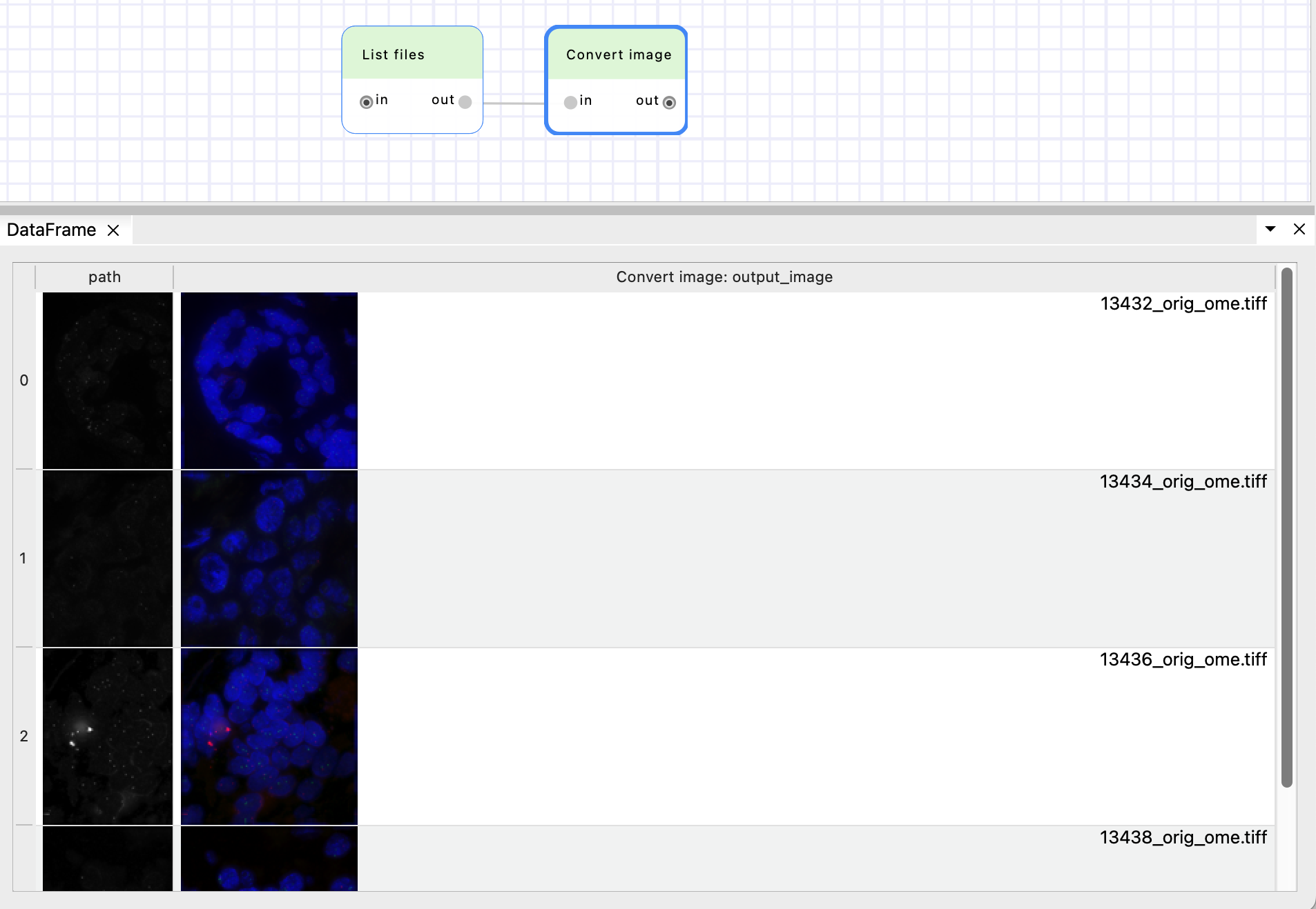 Convert image results